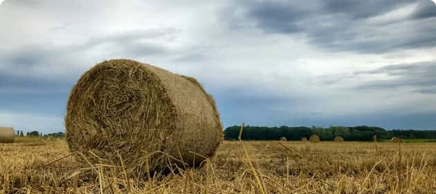 世界杯资讯为您提供专业、贴心的服务体验。 - 世界杯资讯
