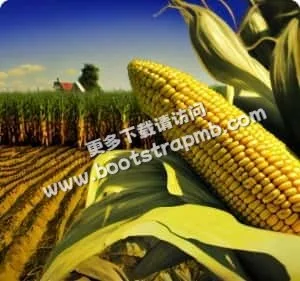世界杯资讯为您提供专业、贴心的服务体验。 - 世界杯资讯
